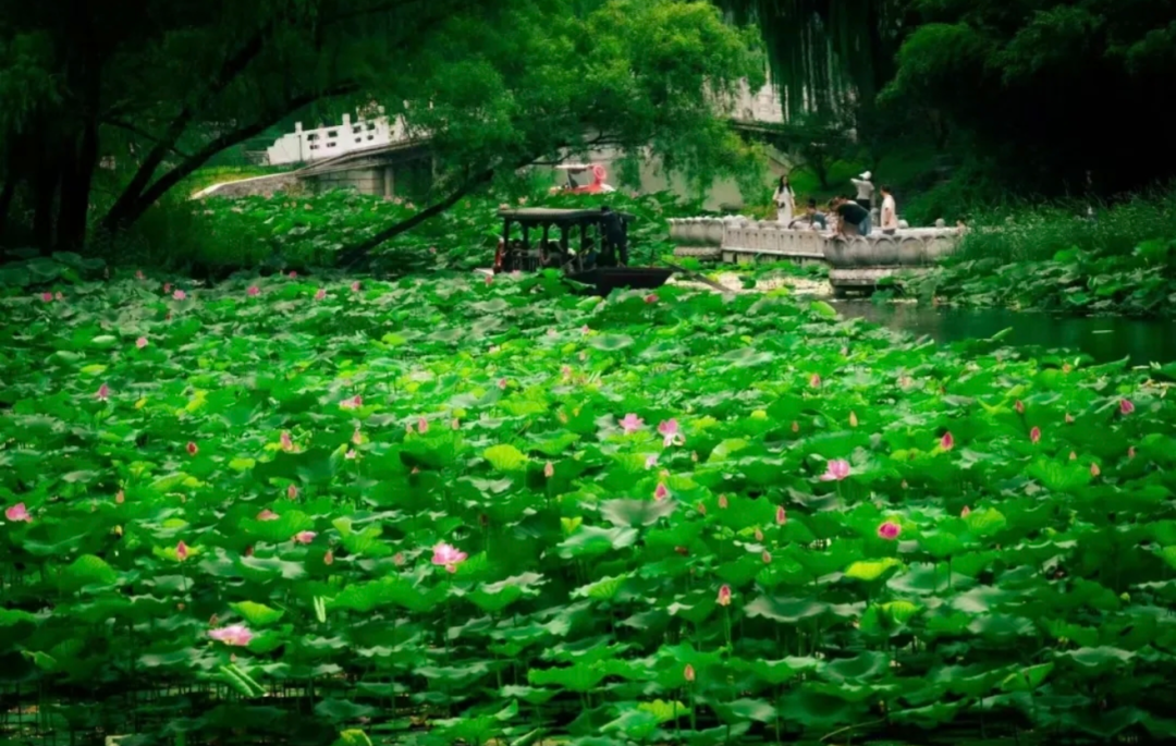 旅行篇.png